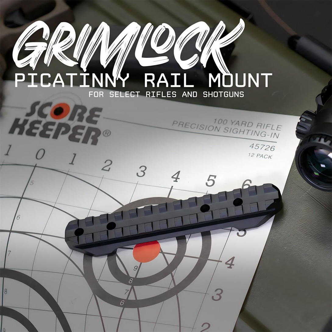 Ruger 10/22 Picatinny Rail Mount